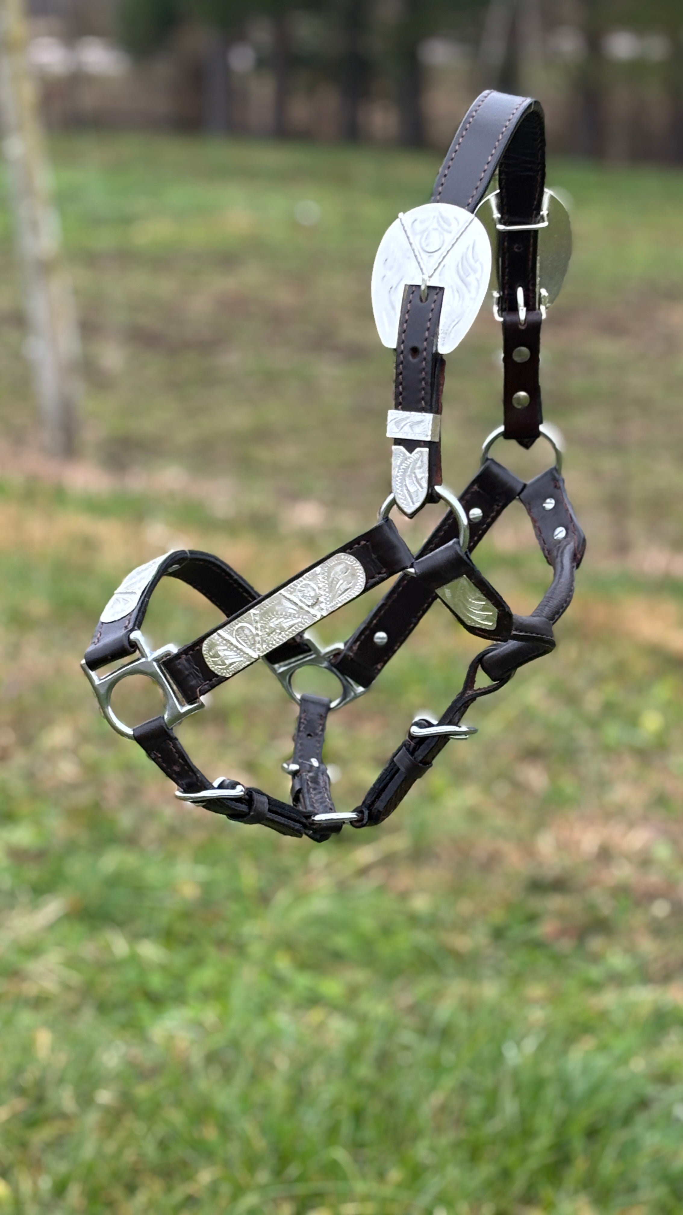 Show Halter ~ Silver V ~ Yearling/Small - Henderson's Western Store