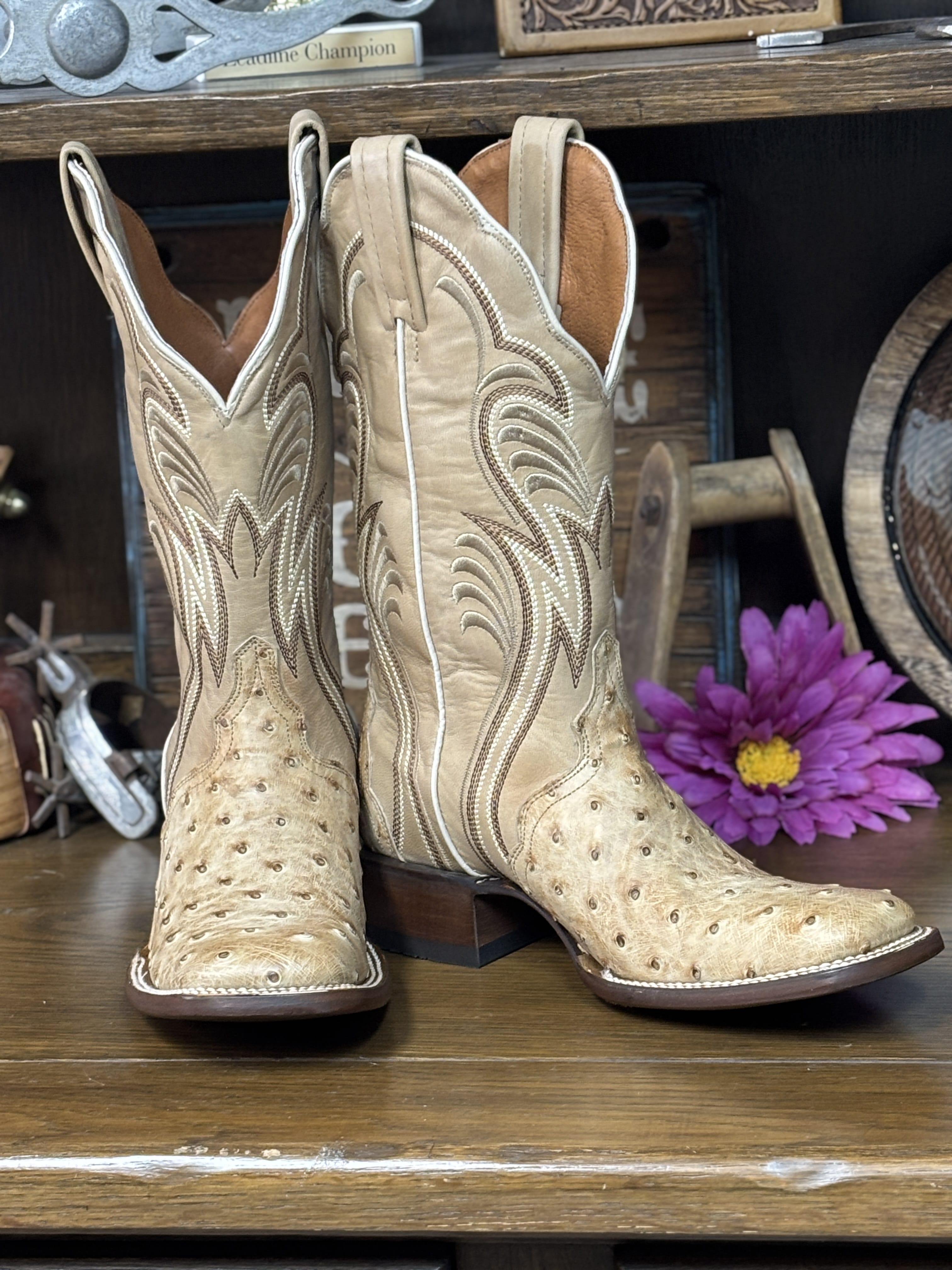 Dan Post Women's Boots