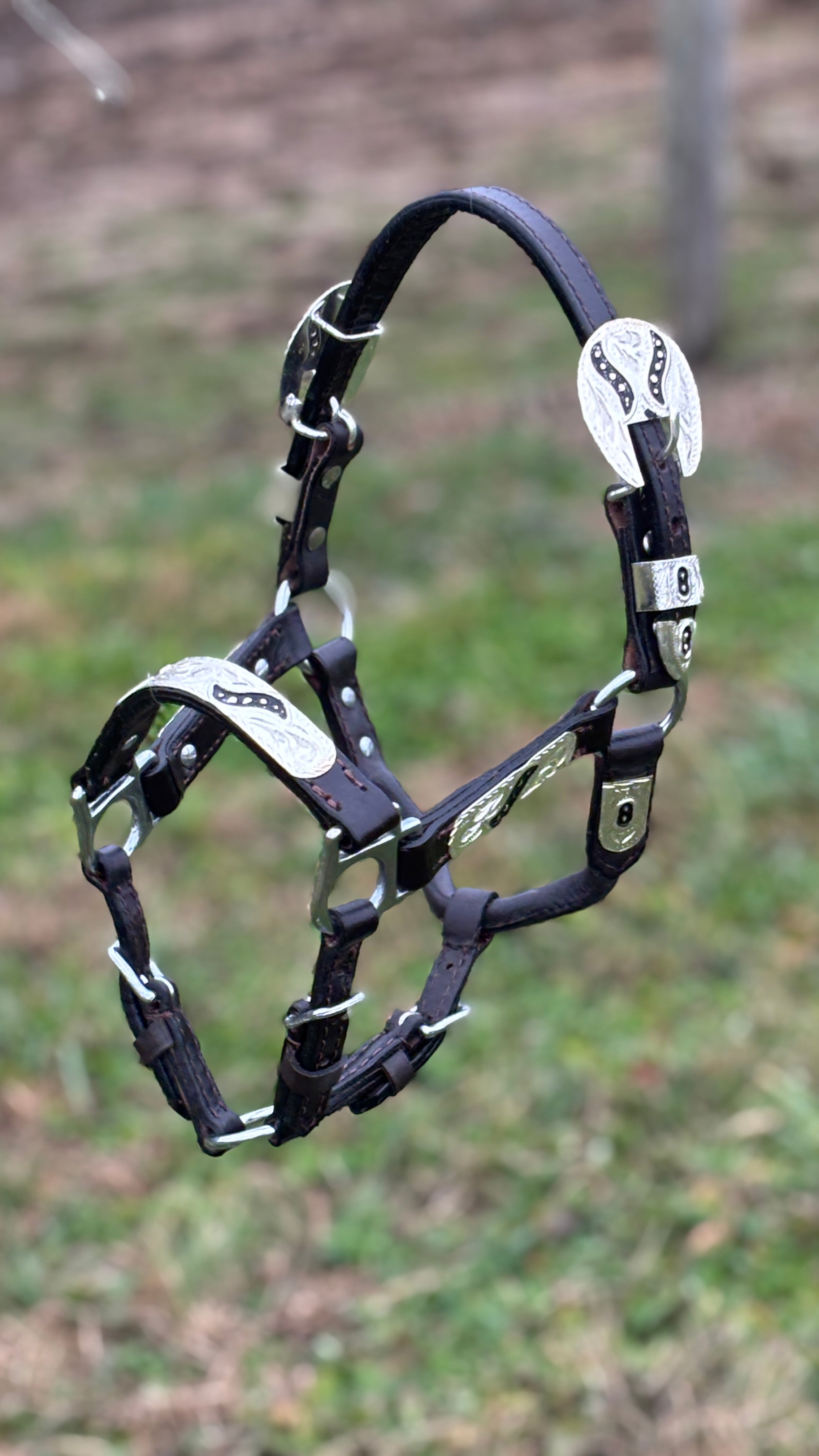 Show Halter ~ Black Inlay ~ Mini - Henderson's Western Store