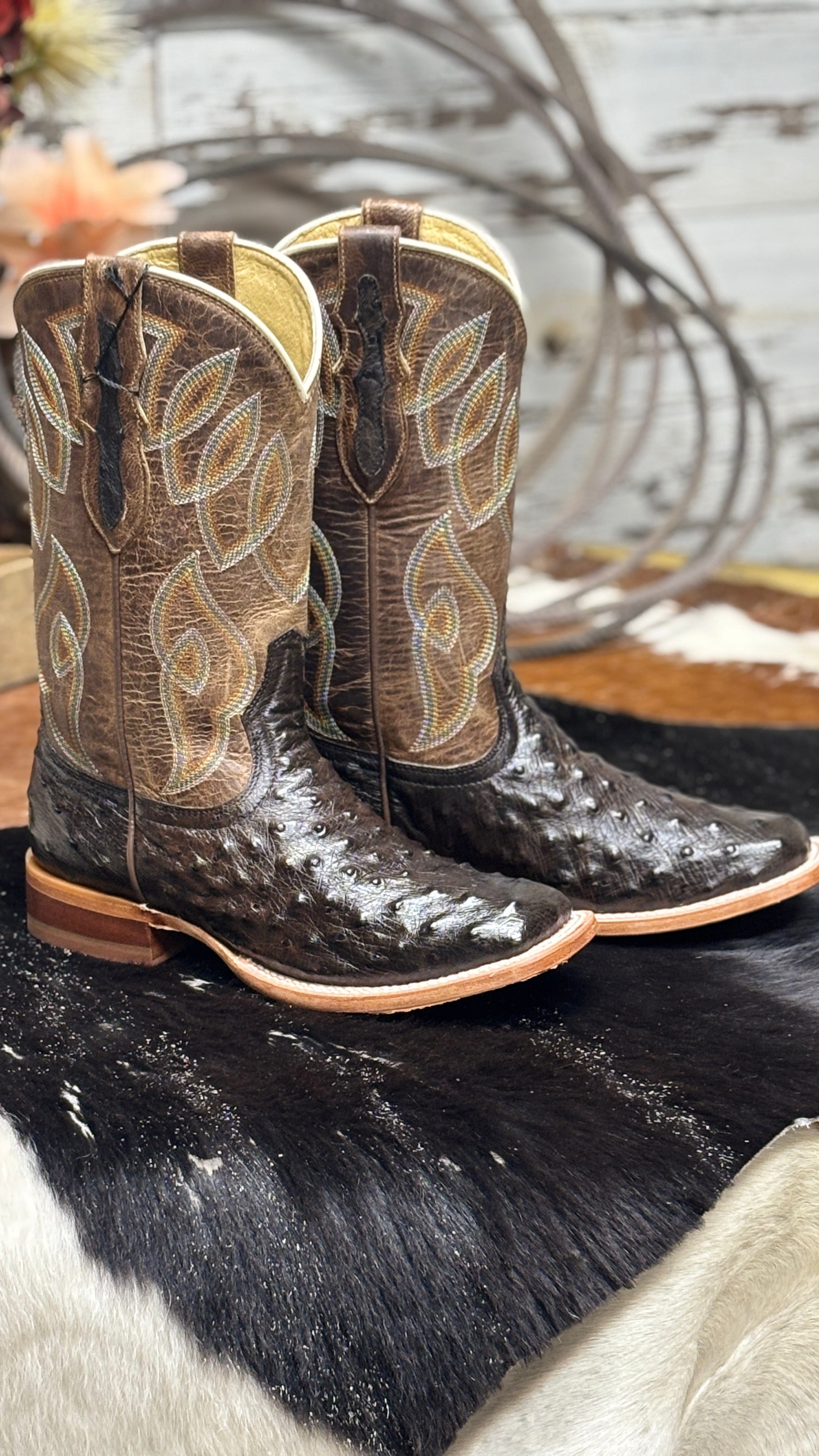 Cheyenne Chocolate Ostrich by Tony Lama - Henderson's Western Store