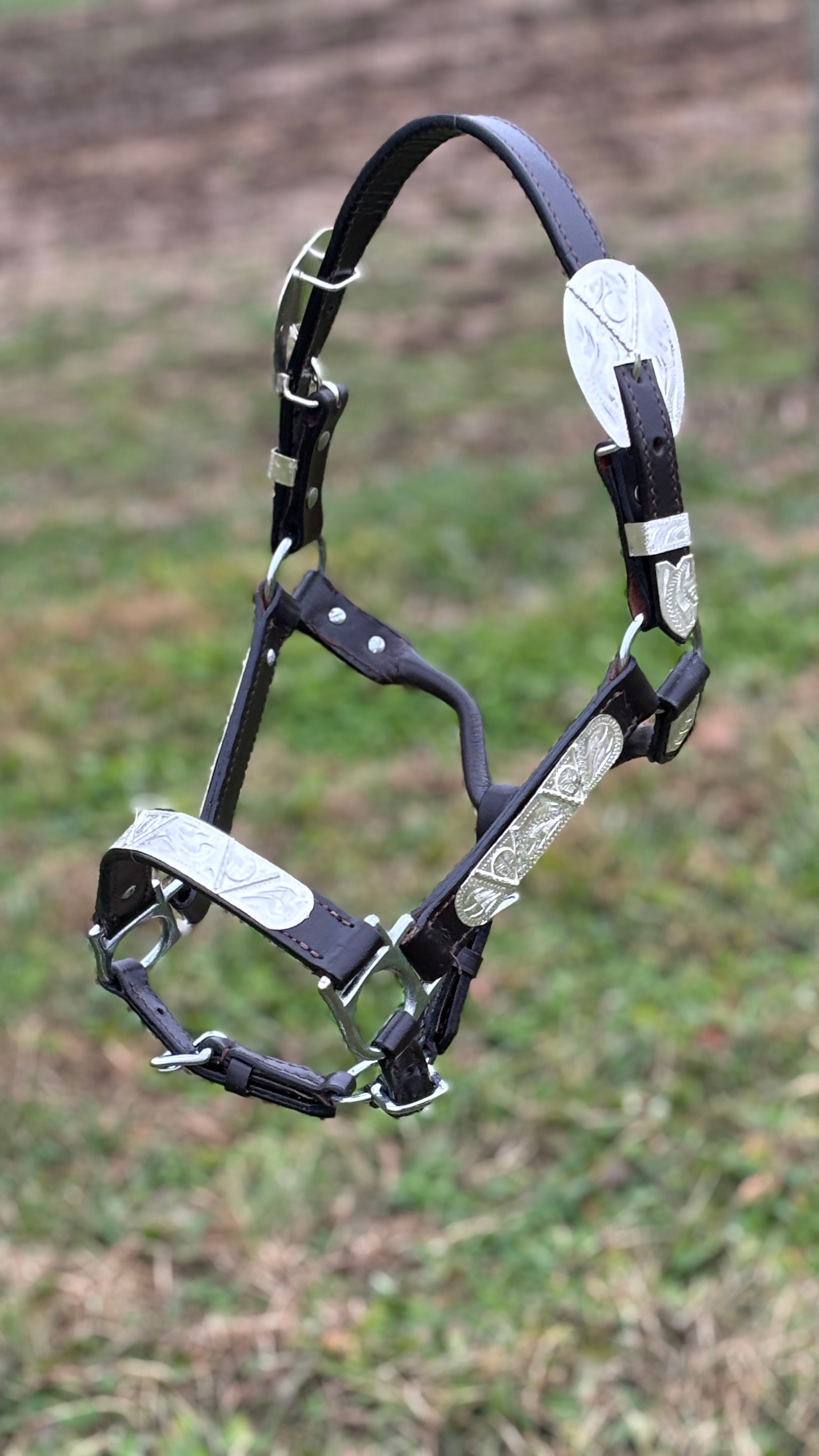 Show Halter ~ Silver V ~ Yearling/Small - Henderson's Western Store