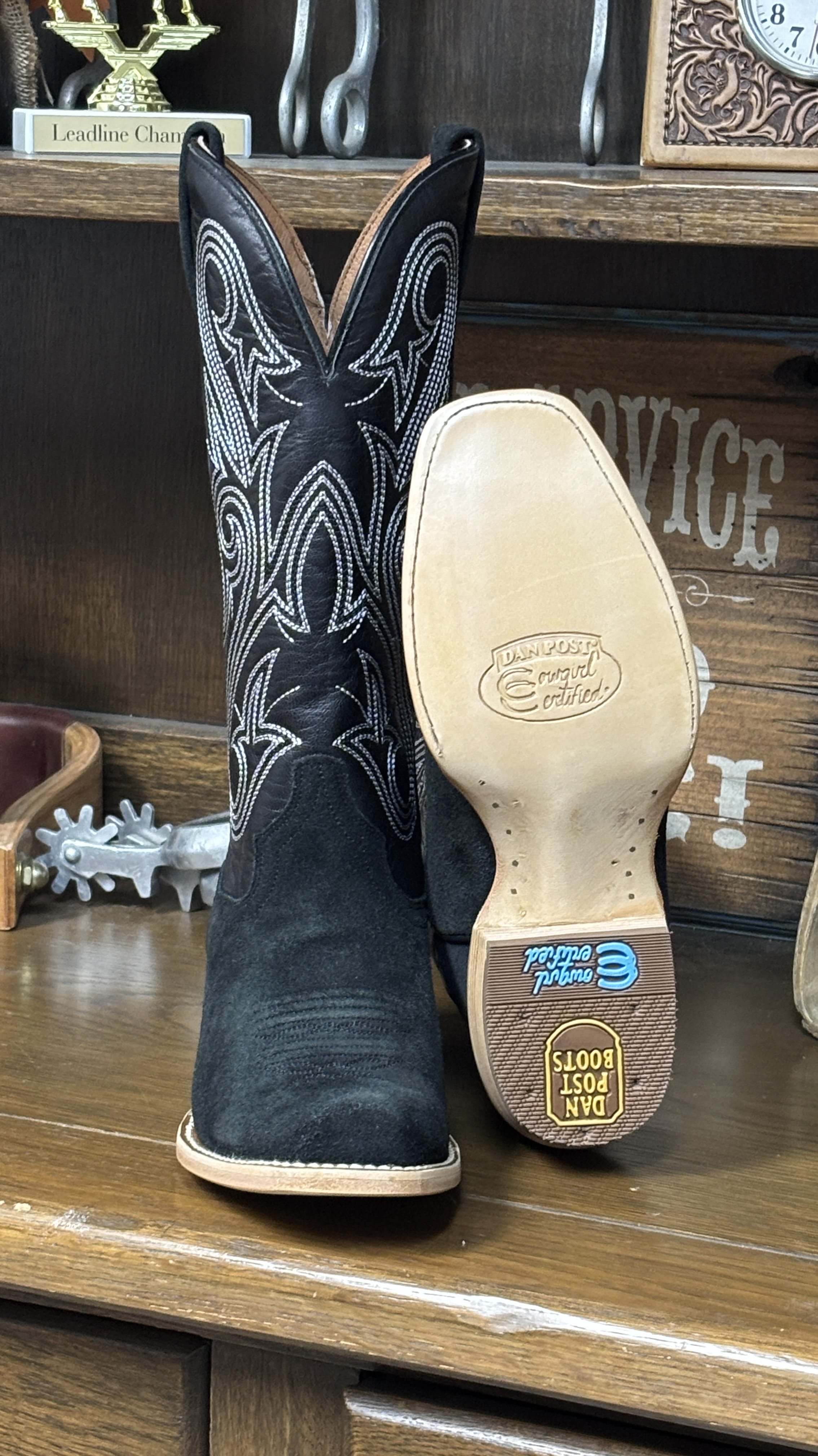 Dan Post Women's Boots