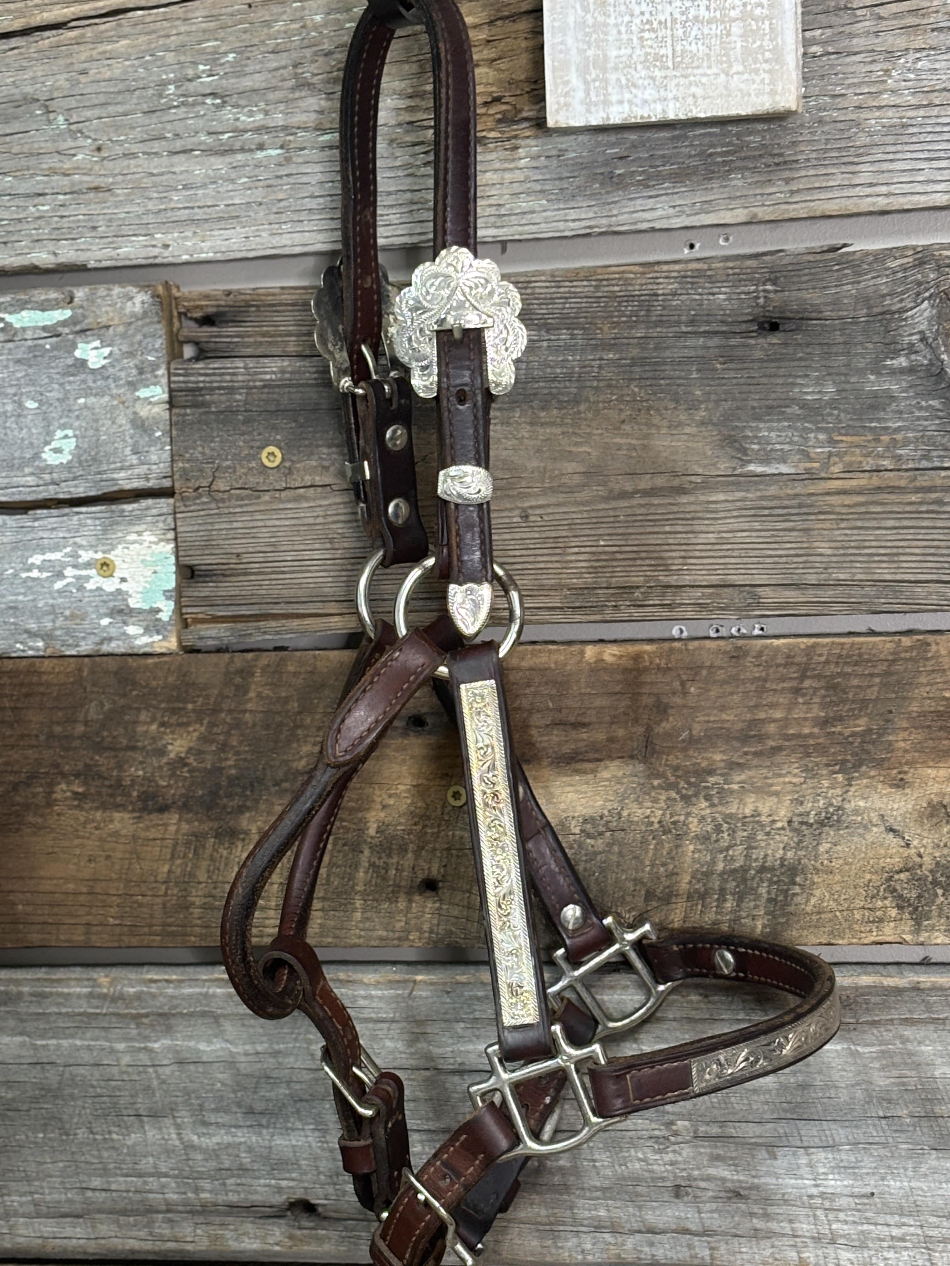 Jerry Henderson Show Halters