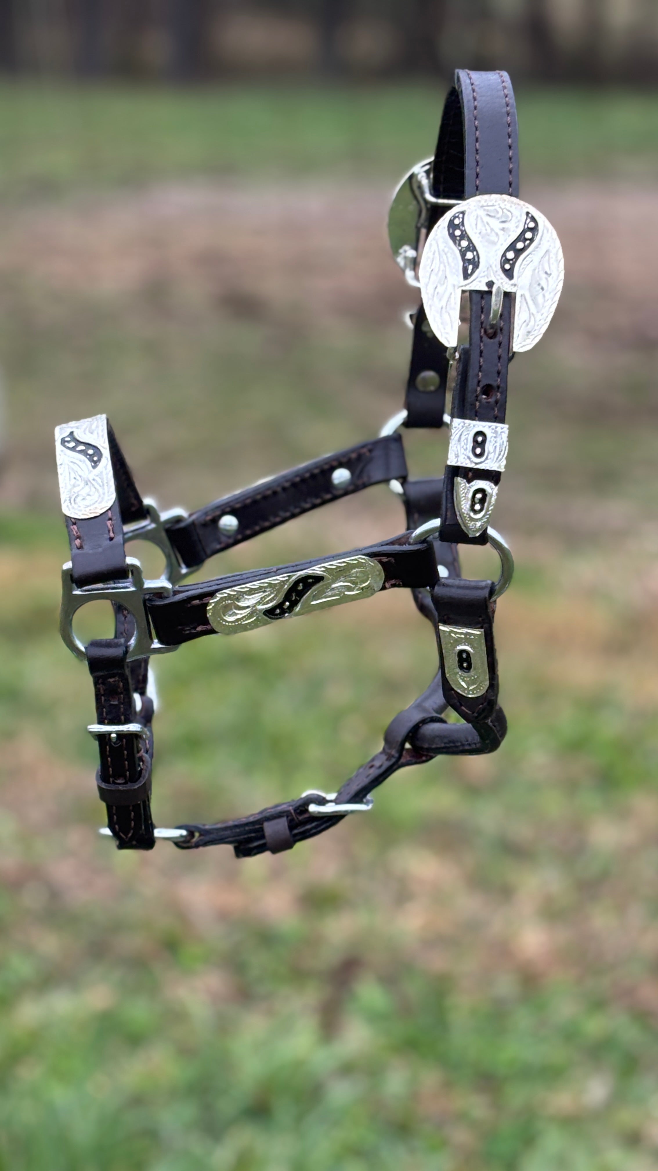 Show Halter ~ Black Inlay ~ Mini - Henderson's Western Store