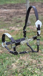 Dark Leather Show Halter  ~ Horse - Henderson's Western Store