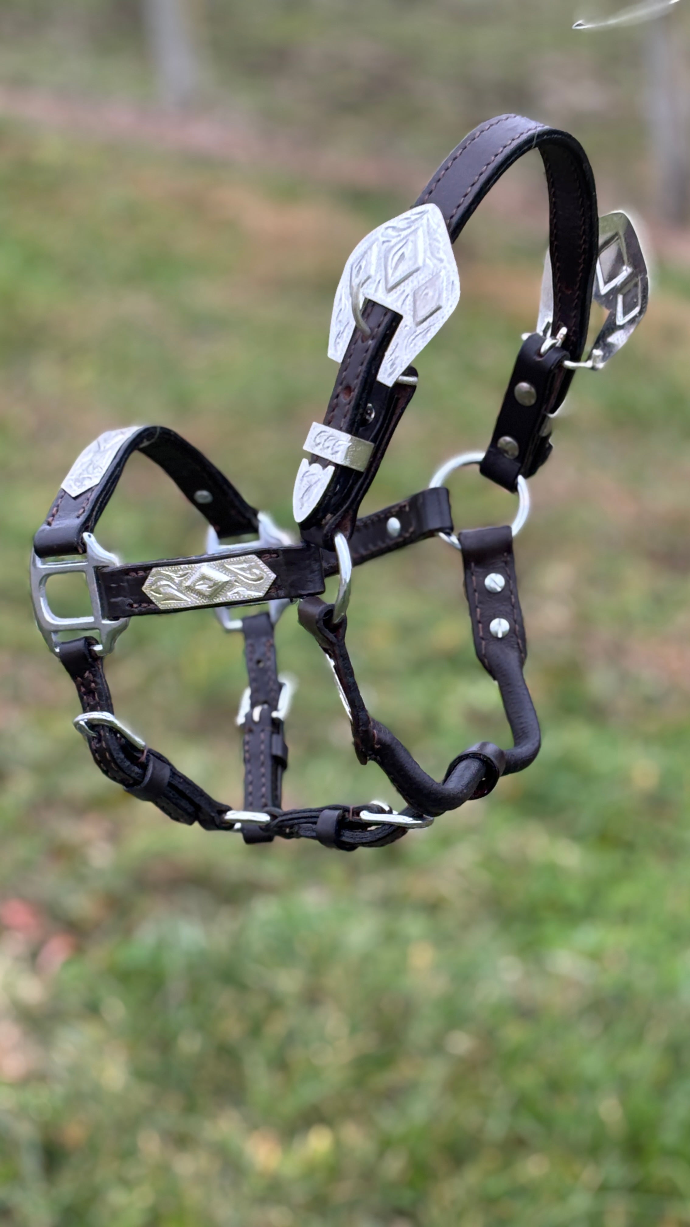 Dark Leather Show Halter  ~ Mini - Henderson's Western Store
