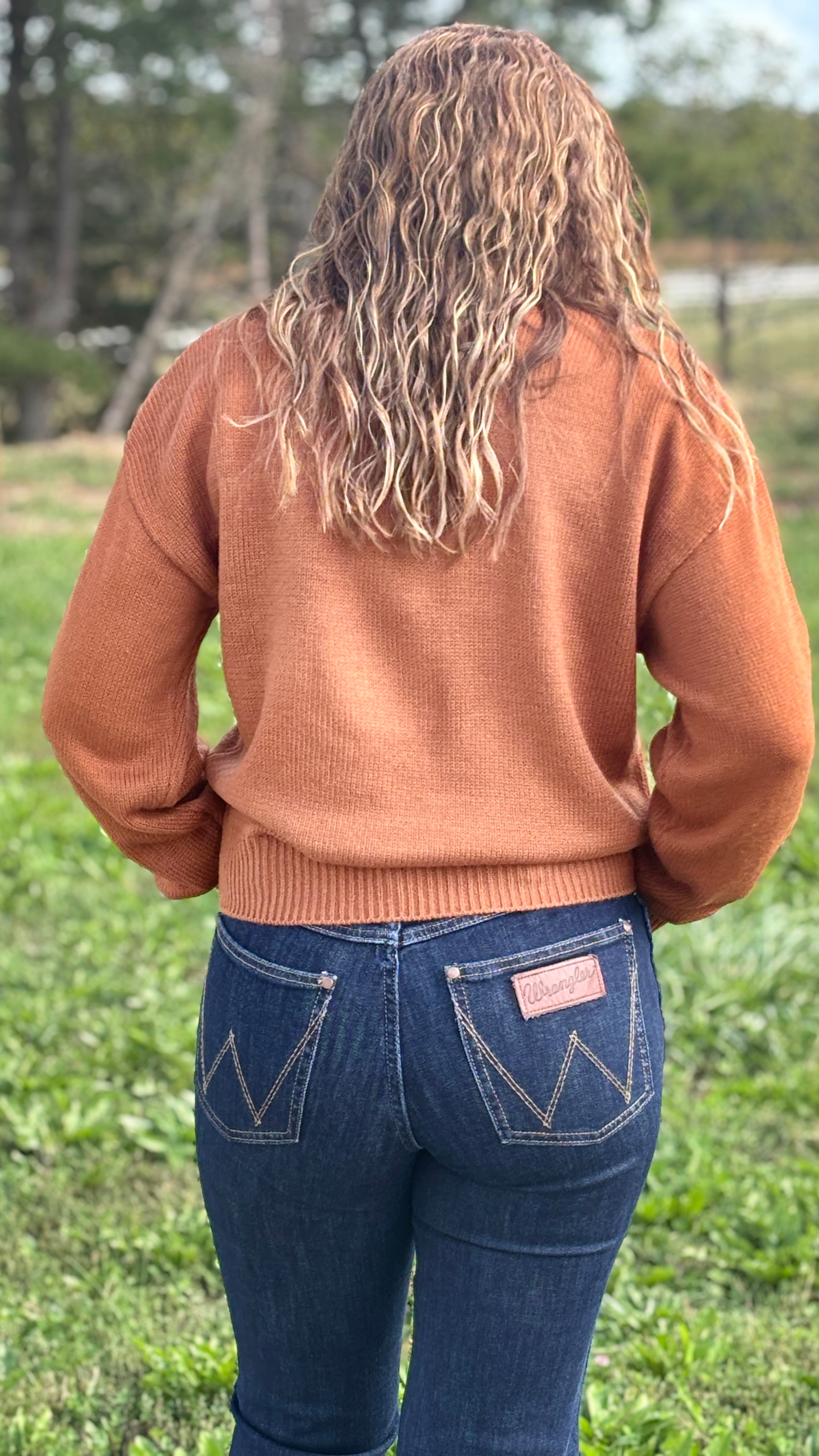 Wrangler Retro® Horse Intarsia Crew Neck Sweater - Henderson's Western Store