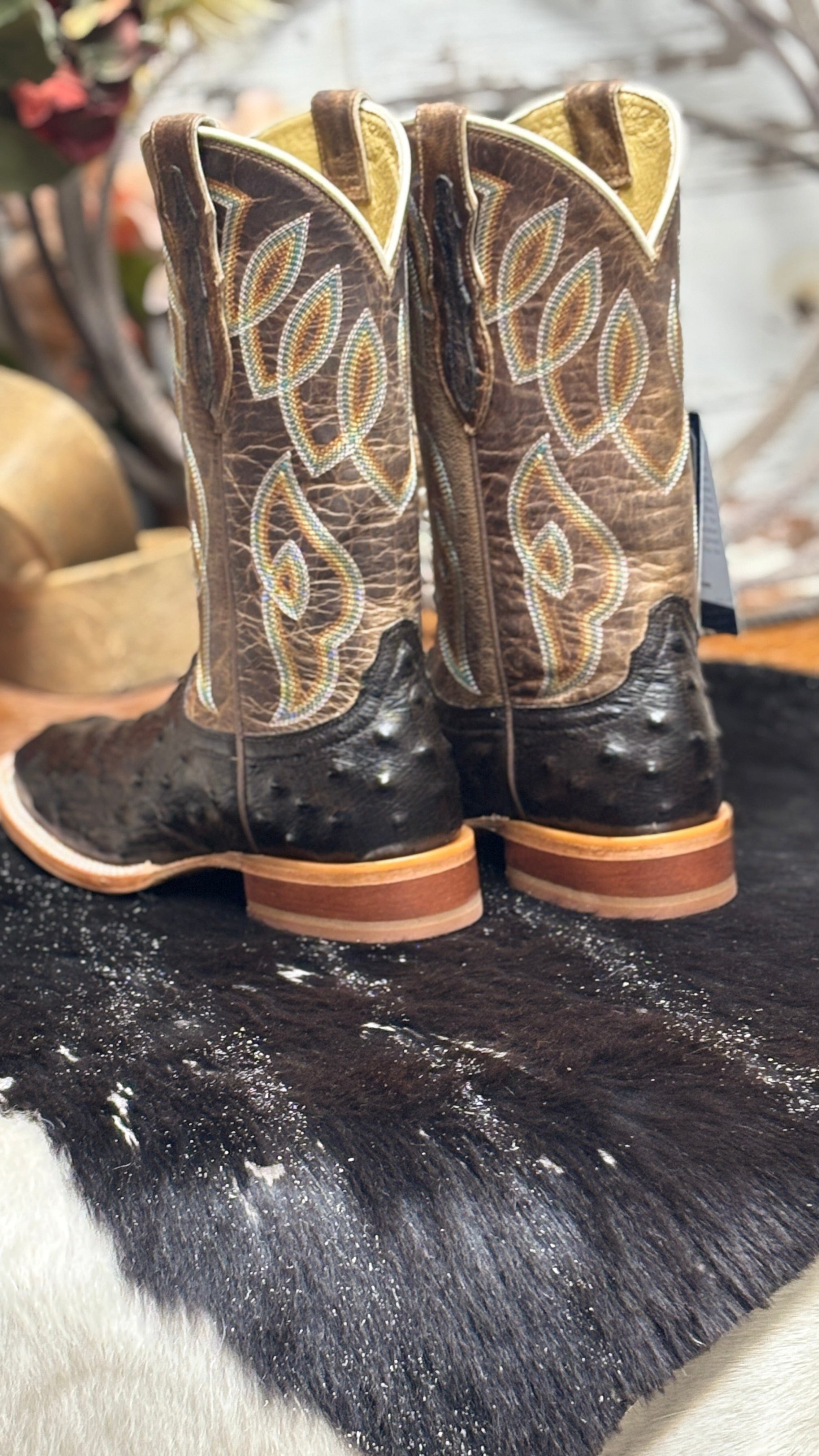 Cheyenne Chocolate Ostrich by Tony Lama - Henderson's Western Store
