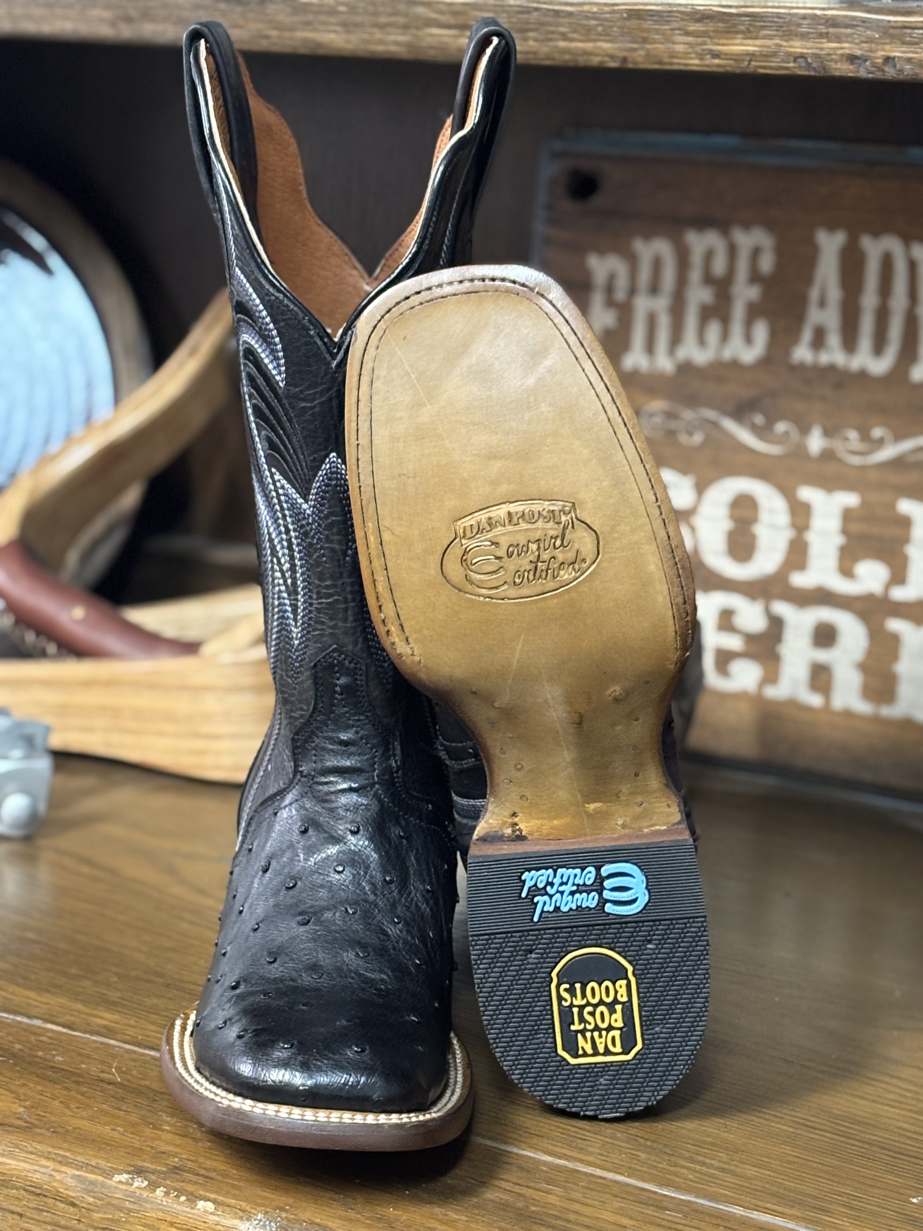 Dan Post Women's Boots