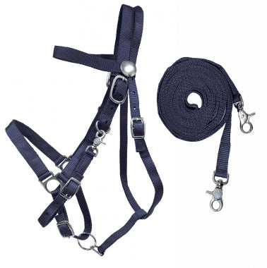 Combination Bridle Nylon Combination Halter Bridle - Henderson's Western Store