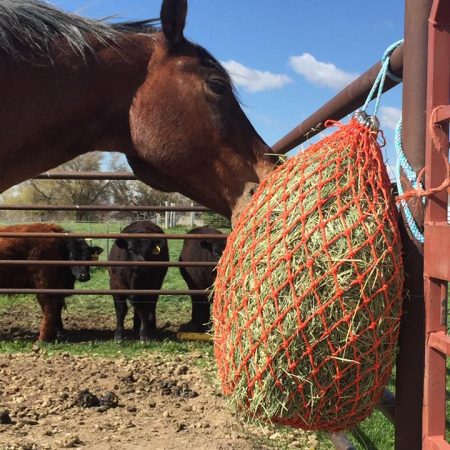 HayBoss Hay Bag #2 Net - Henderson's Western Store