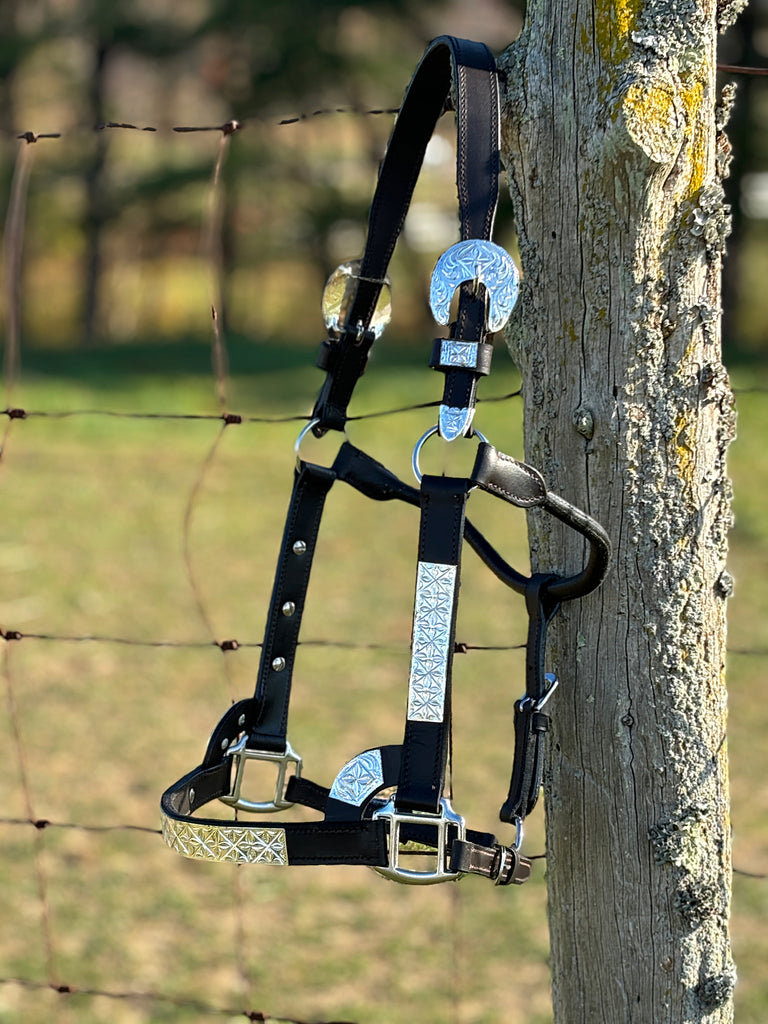 Dark Leather Show Halter ~ Silver Bar