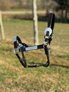 Dark Leather Show Halter ~ Silver Bar - Henderson's Western Store