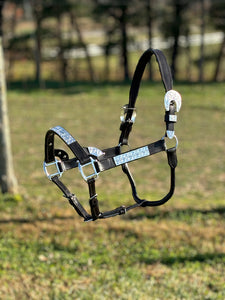 Load image into Gallery viewer, Dark Leather Show Halter ~ Silver Bar