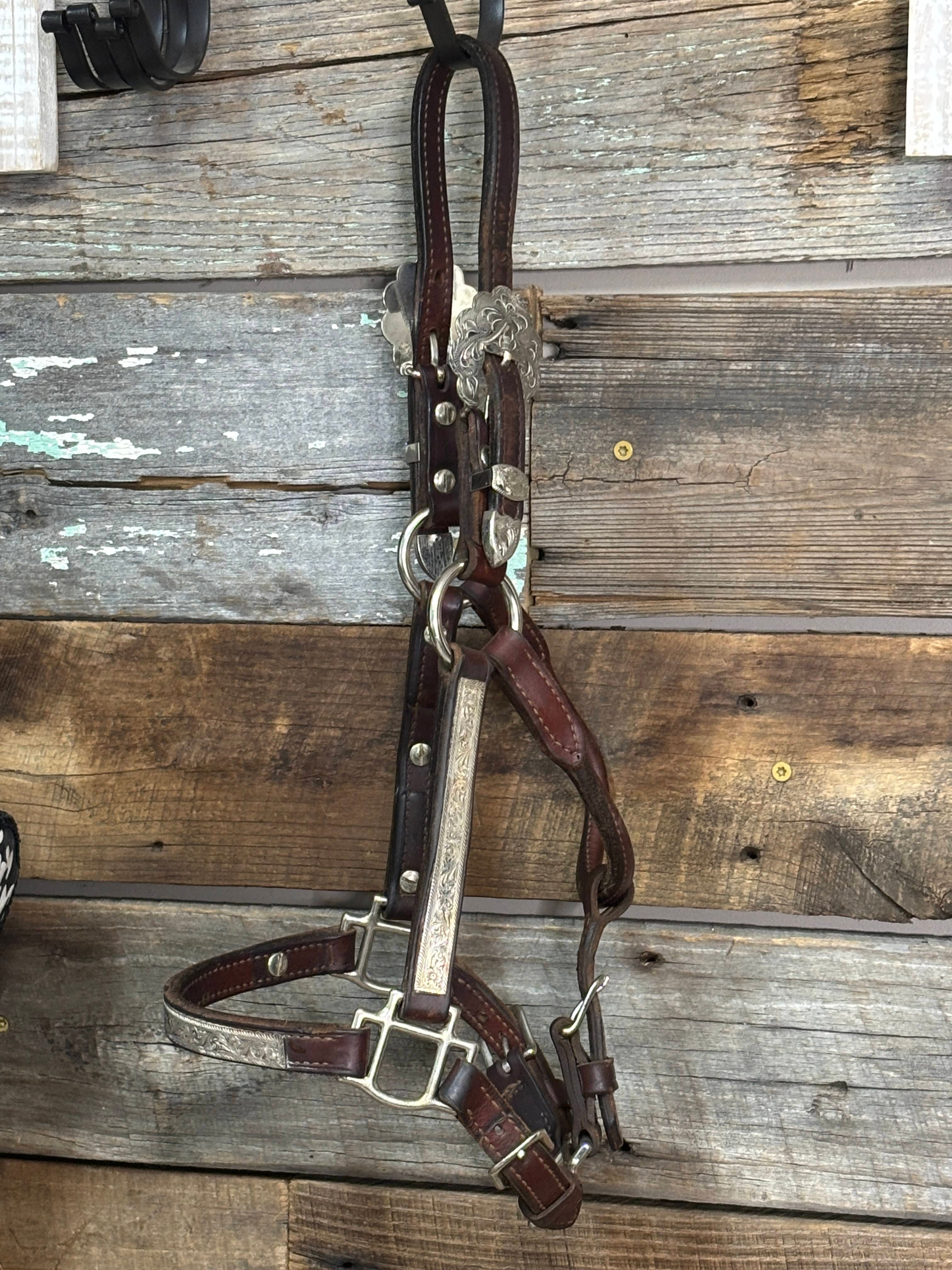Jerry Henderson Show Halters