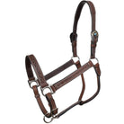 Diamond Argentina Cow Leather Halter - Henderson's Western Store