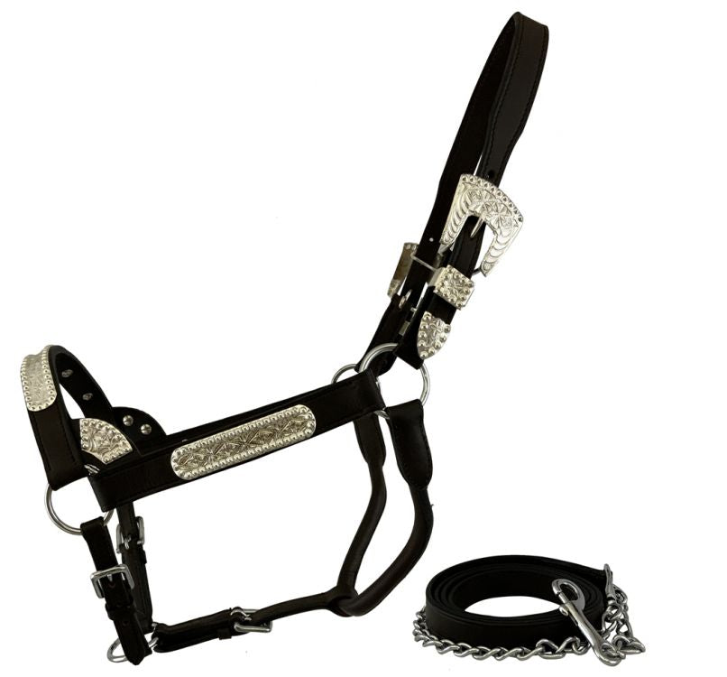 Dark Leather Show Halter ~ Sliver Bar