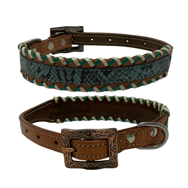 Python Dog Collar - Henderson's Western Store