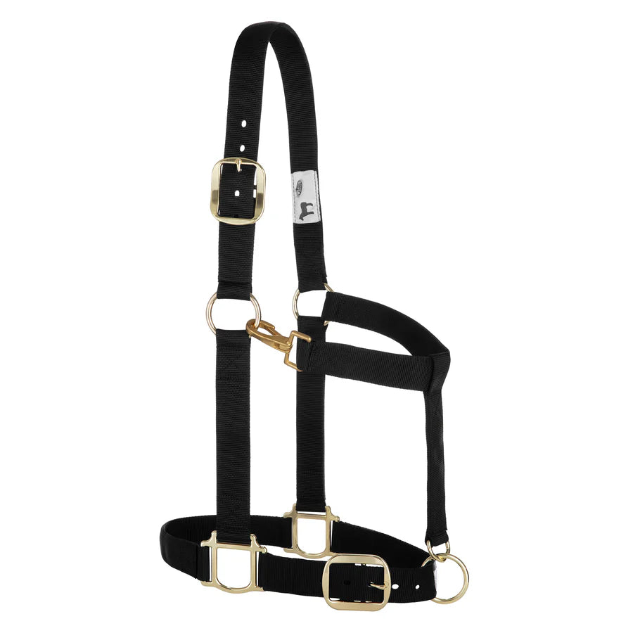 Adjustable Halters ~ Draft - Henderson's Western Store