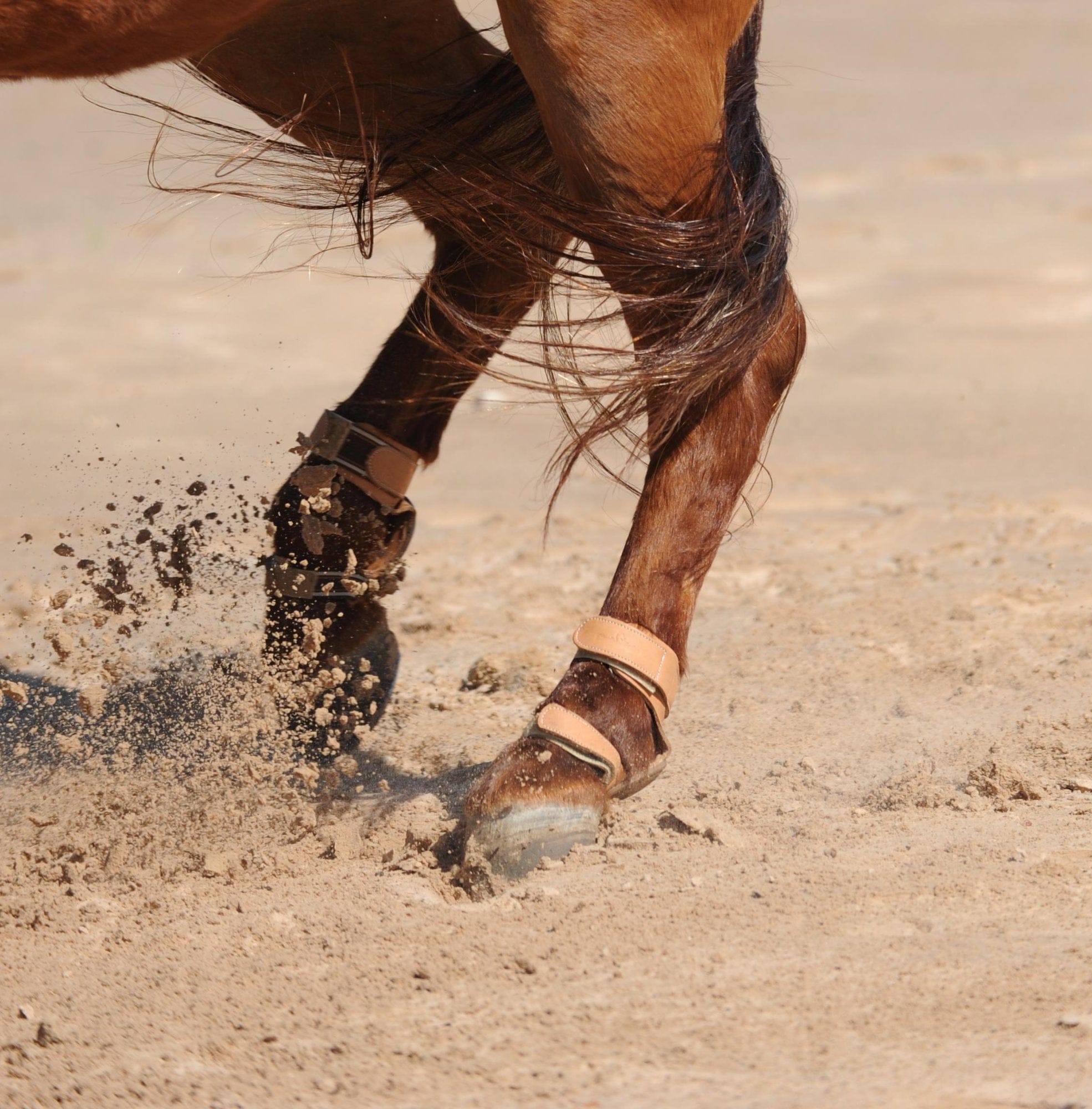 Classic Equine ~ Pro Reiner Skid Boots - Henderson's Western Store