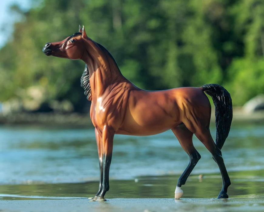 Breyer RD Marciea Bey | Champion Arabian Mare