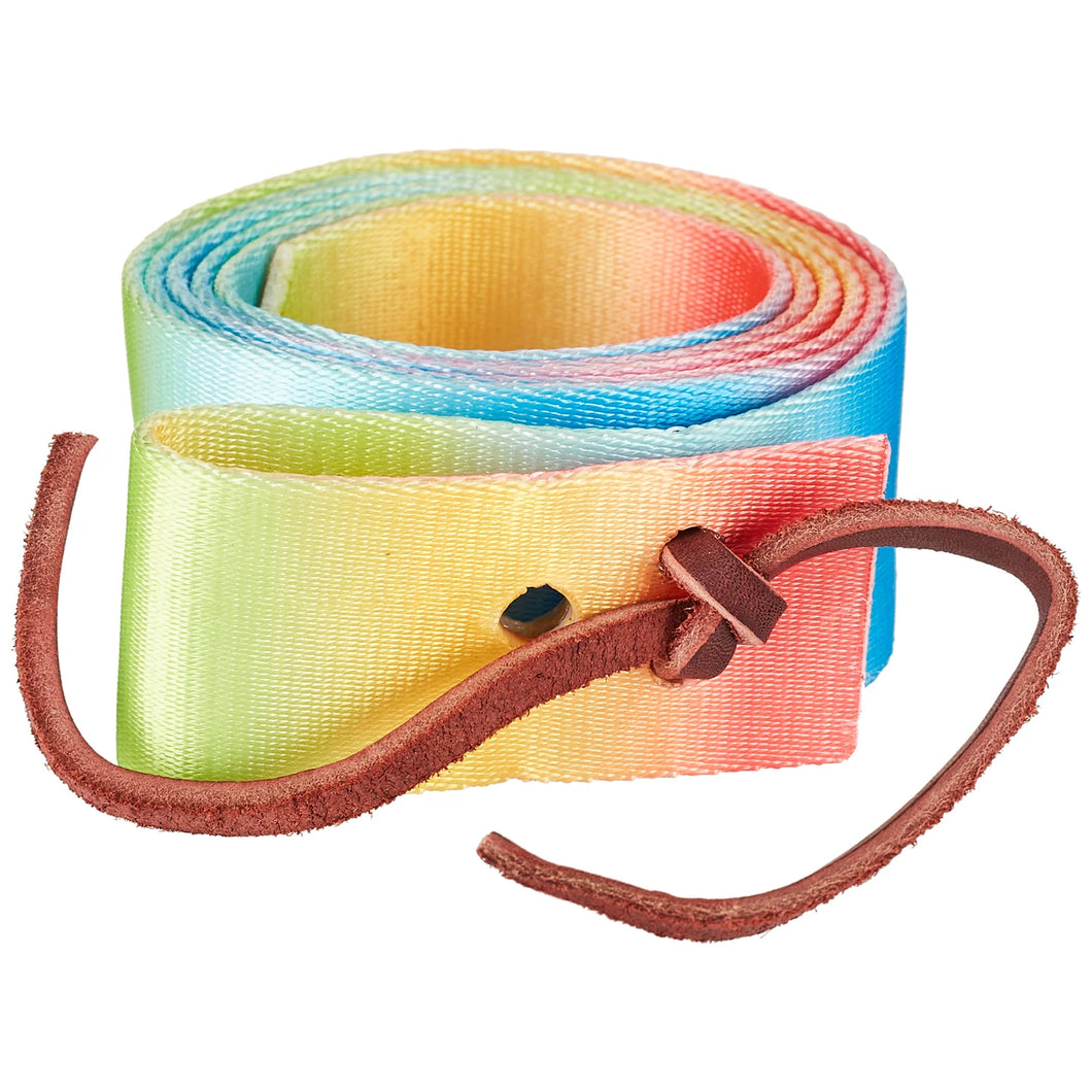 Rainbow Nylon Latigo - Weaver