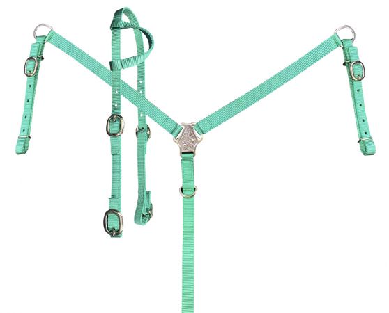 Nylon One Ear Headstall & Breast Collar Set ~ Teal - Henderson's Western Store