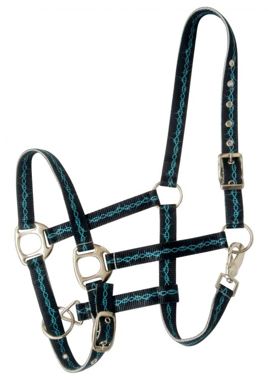 Premium Nylon Halter ~ Barbwire halter shiloh   