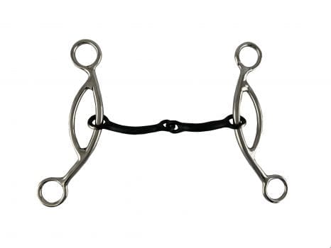 shiloh Bits