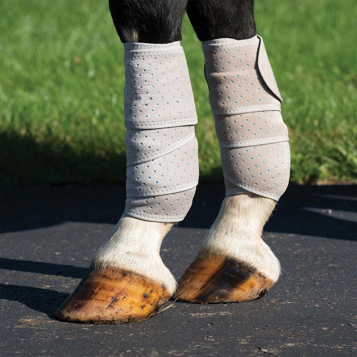 EquiBrand Polo Wraps
