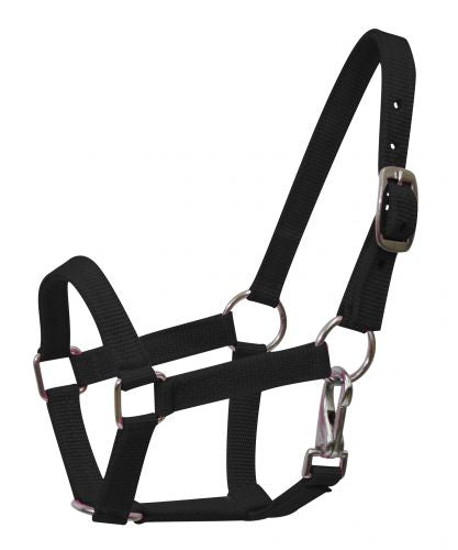 Mini Nylon Halter halter shiloh   